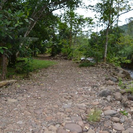 Pousada Dos Sonhos - Timbe Do Sul Экстерьер фото